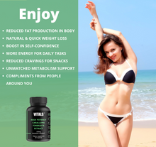 Load image into Gallery viewer, High Potency Caralluma Fimbriata Extract