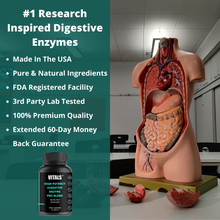 Load image into Gallery viewer, digestive system enzymes buy online