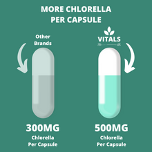 Load image into Gallery viewer, chlorella detox supplement
