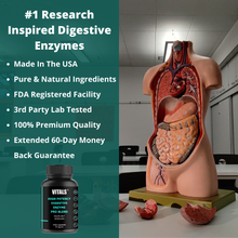 Load image into Gallery viewer, best digestive enzymes supplement buy online
